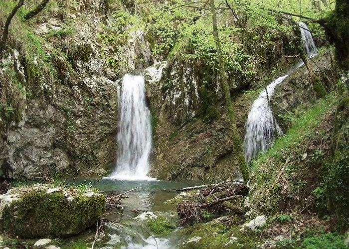 Sara S Predivnim Pogledom Na * Matulji