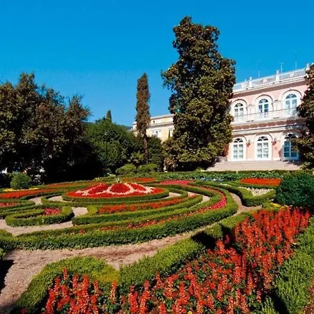 Sara S Predivnim Pogledom Na *