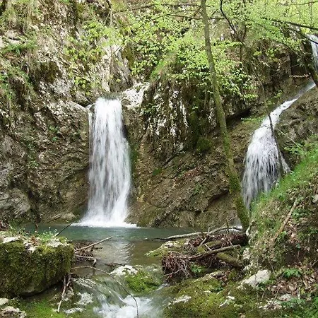 Sara S Predivnim Pogledom Na * Matulji